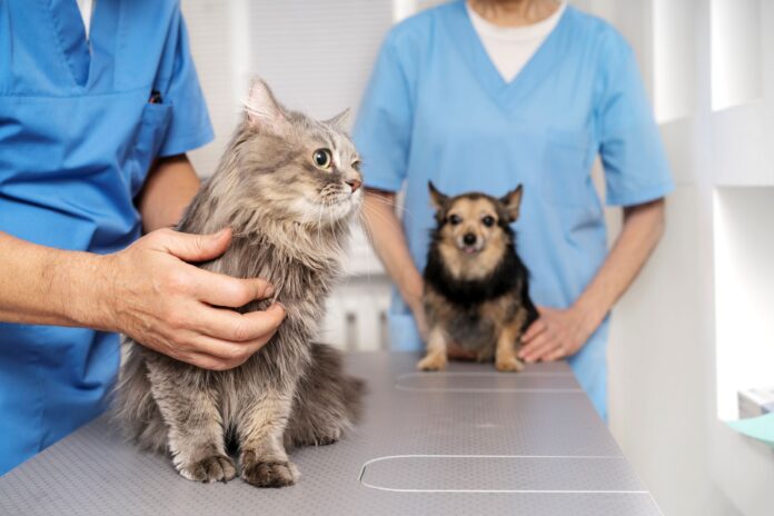 cachorros e gatos passam por consulta veterinária_foto Freepik