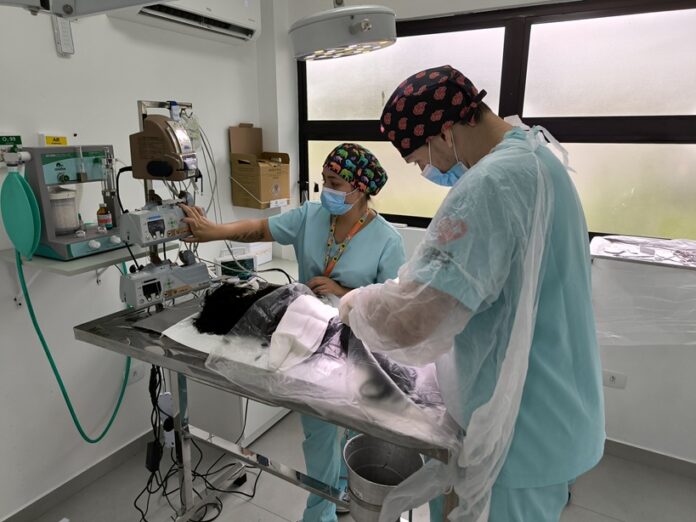 IMG_20250925_123034 (1)