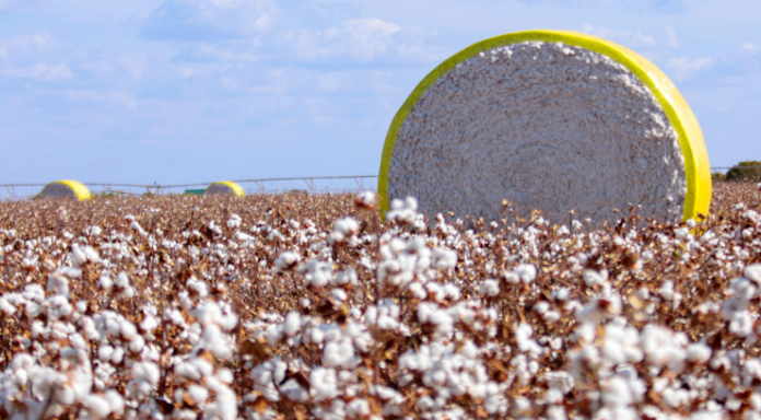 88310551817122025_Captura_de_Tela_2025-12-17_as_10.55.08