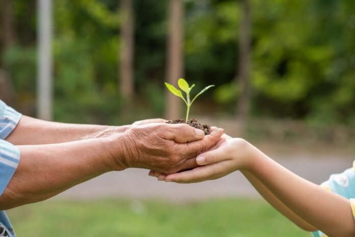 Sustentabilidade